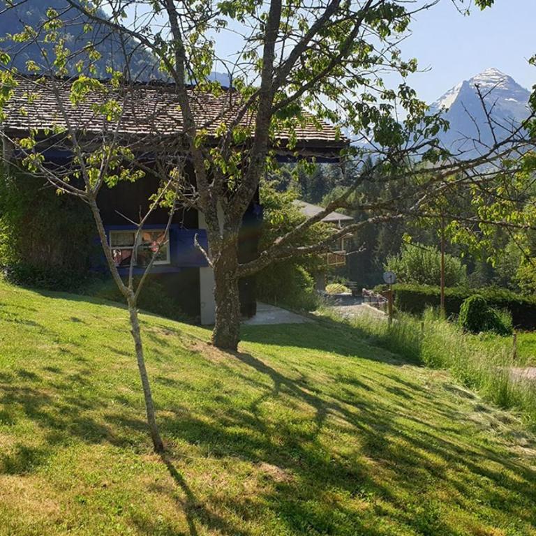 Micro-lodge, Le Petit Nid d'Amour - Kleines Chalet - 98