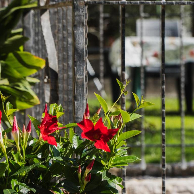 Villa Infinity Garda - Villa con 2 Camere da Letto - 32