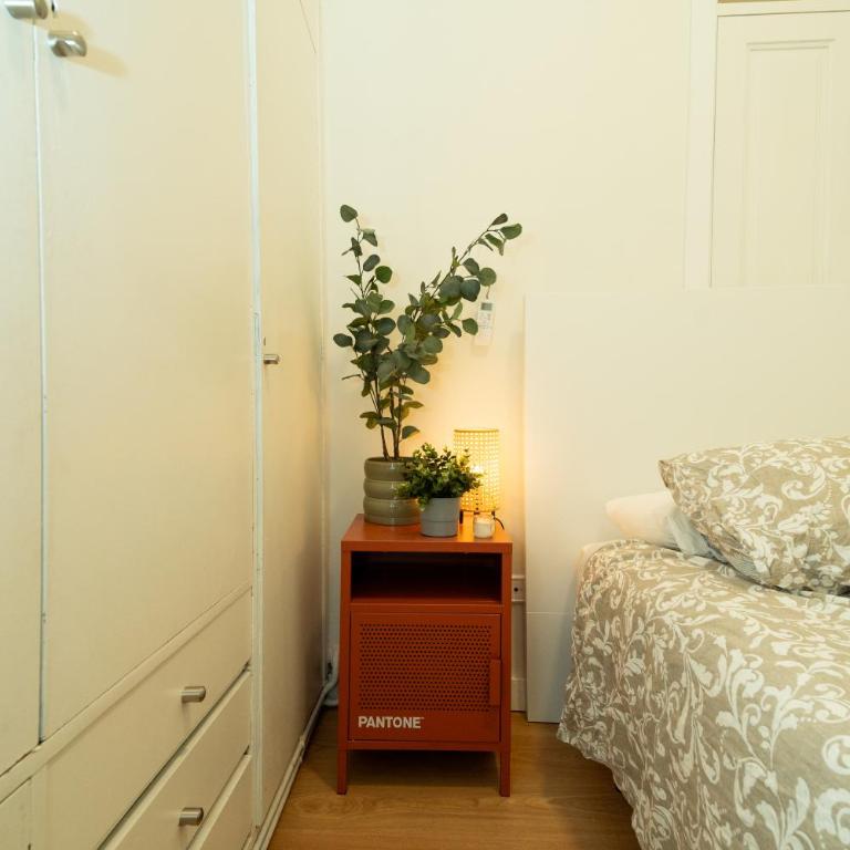 San Andres Street, Private rooms - Double Room with Shared Bathroom - 8
