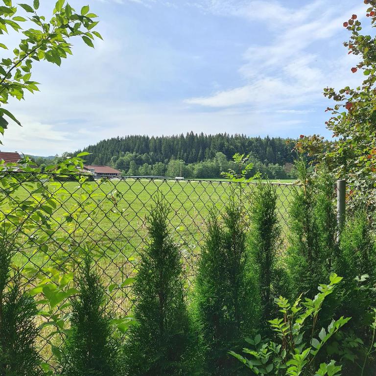 Willkommen in unserer 3 Zimmer Oase im Allgäu - Appartamento con 1 Camera da Letto e con Giardino - 48