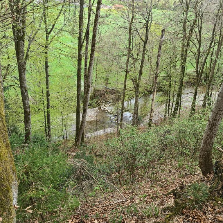 Willkommen in unserer 3 Zimmer Oase im Allgäu - Appartamento con 1 Camera da Letto e con Giardino - 49