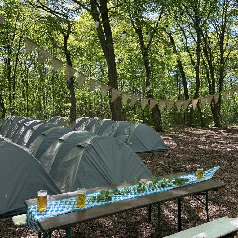 Munich Oktoberfest on a Budget including breakfast - Tenda - 7