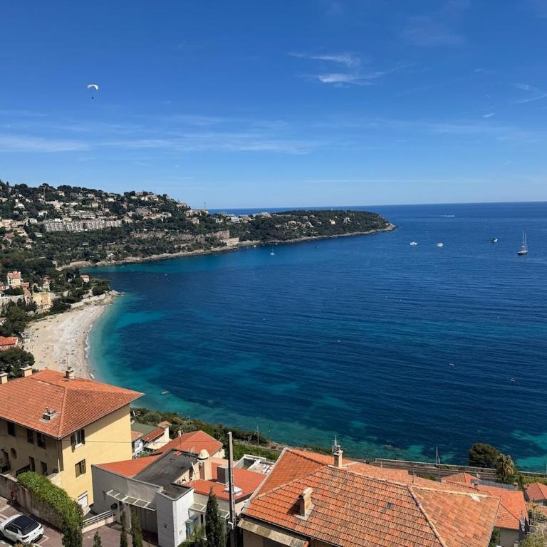 Panoramic Sea View Penthouse - Walk to Monaco GP - Appartement 3 Chambres - 1