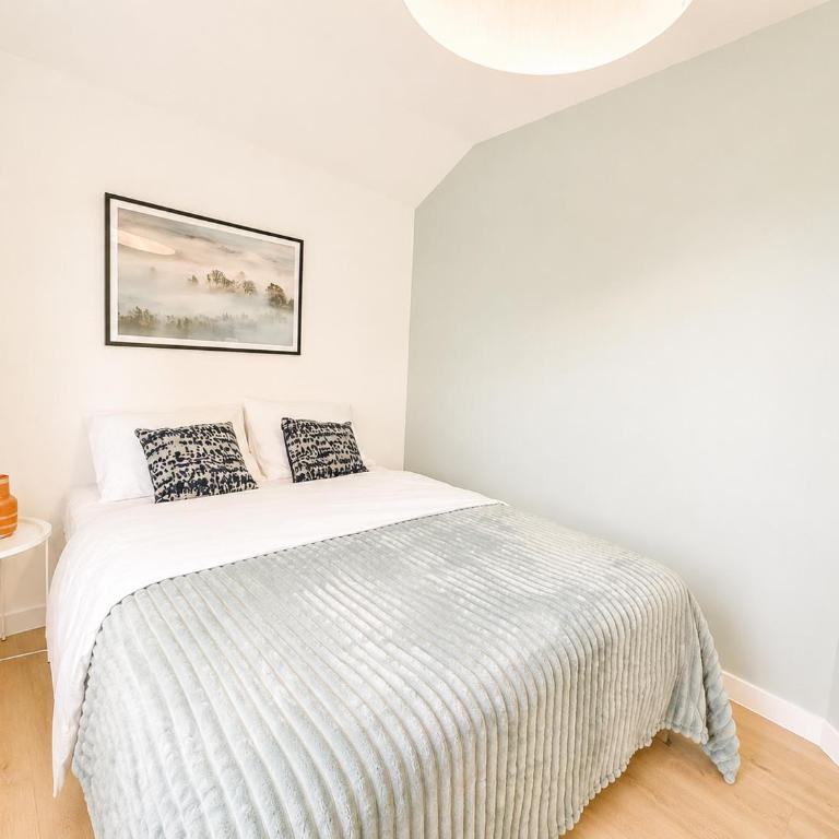 M114 Magnifique T2 aux portes de la douane de Moillesulaz - Appartement 1 Chambre - 9
