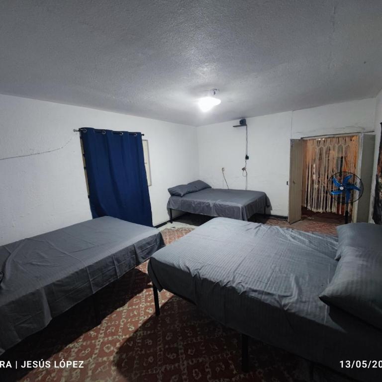La casa de los columpios - Basic Triple Room with Shared Bathroom - 1