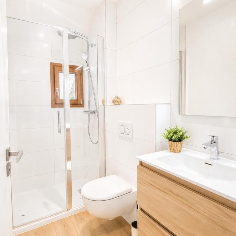 M115 Charmant T2 aux portes de la douane de Moillesulaz - Appartement 1 Chambre - 4