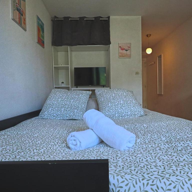 Studio Arago proche gare et commodités, grande terrasse - Appartement 1 Chambre - 16