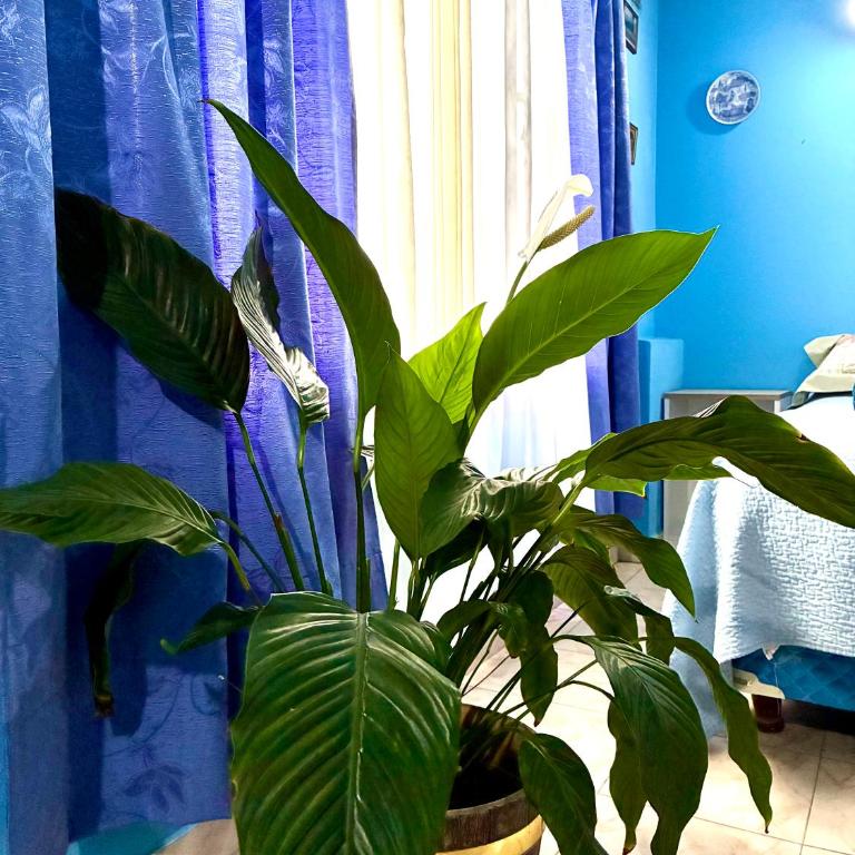 Tu rincón en Ushuaia - One-Bedroom Apartment - 3