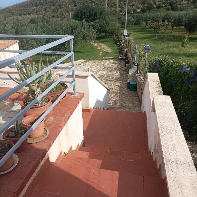 Nuccio Apartment Villa - Appartamento con 2 Camere da Letto - 15