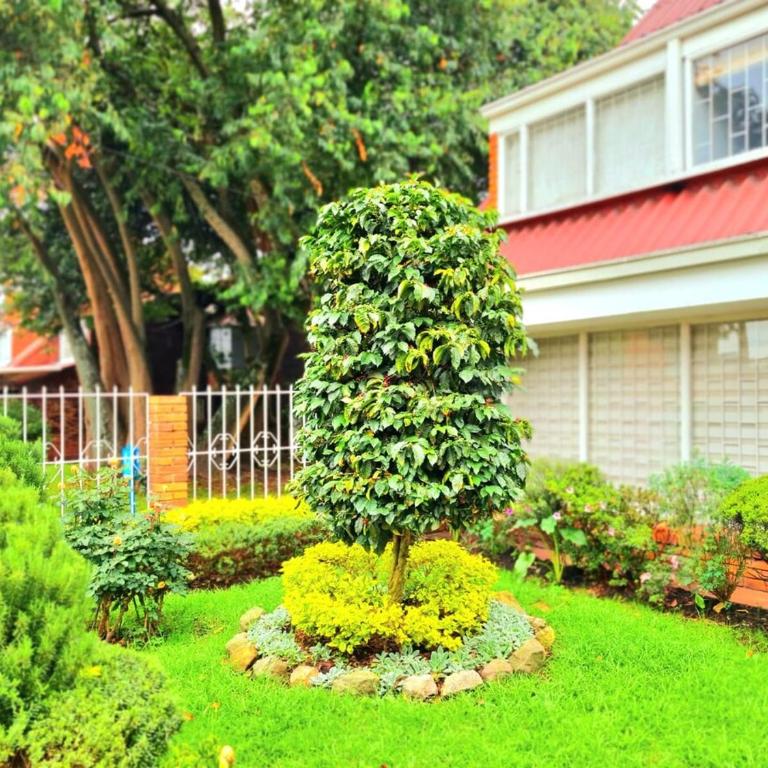 Spacious house in the heart of northern Bogotá - Casa de 4 dormitorios - 16