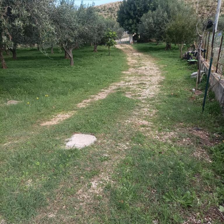 Nuccio Apartment Villa - Appartamento con 2 Camere da Letto - 26