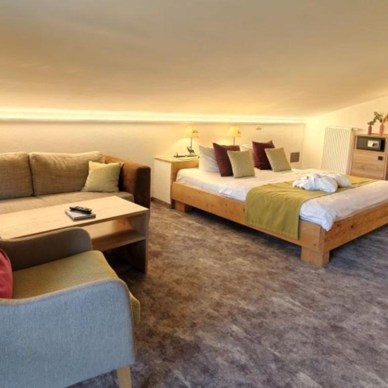 Hotel Bergruh - Double Room without balcony and with sloped ceilings - 1