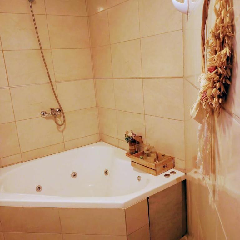Casa, pie del cerro pileta jacuzzi 6 pasajeros - Chalet de 1 dormitorio - 10