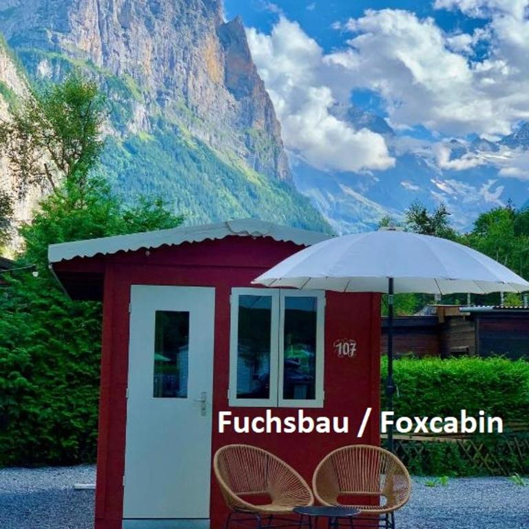 Camping Jungfrau - Hütte Fox - 4