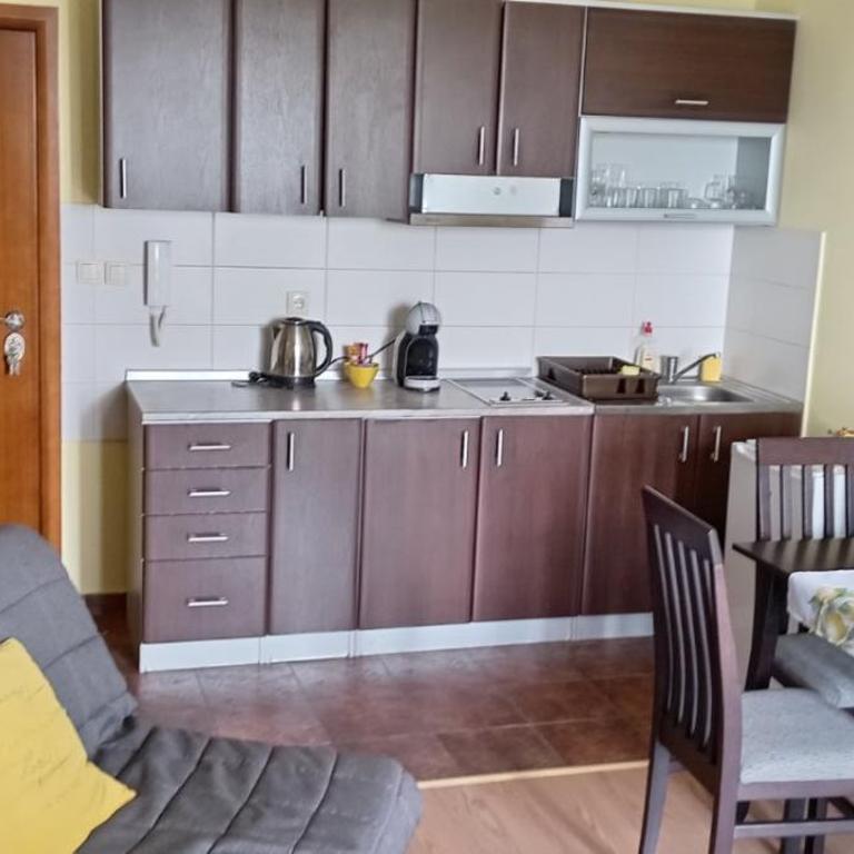 Sunny Days apartman Kopaonik - Apartment mit Blick auf die Berge - 14