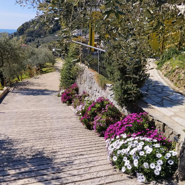 Le Drupe - Casa Vacanze - 34