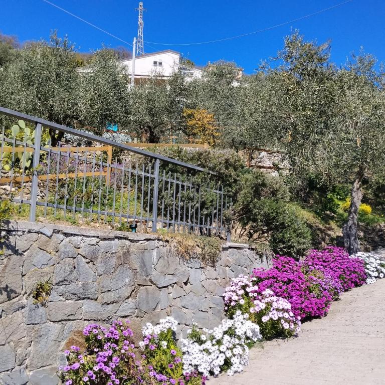 Le Drupe - Casa Vacanze - 38