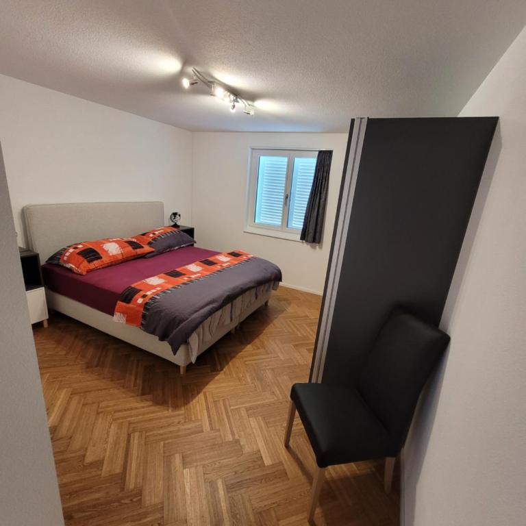 Garten-Wohnung in Adligenswil - Apartment mit 1 Schlafzimmer - 1