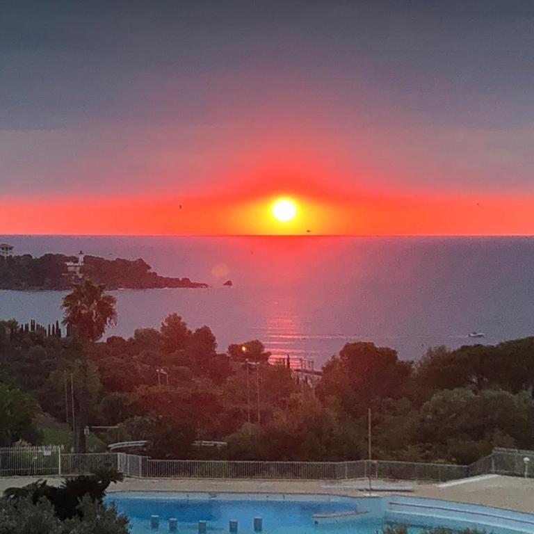 Residence Cap Esterel Babou - Apartamento de 1 dormitorio - 16