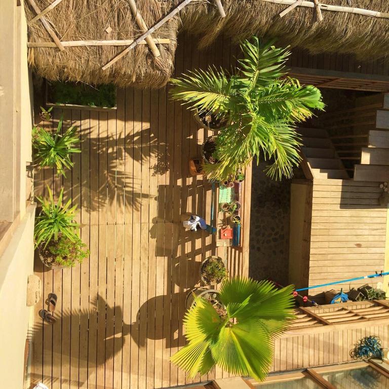 Flamenco Beach House with Pool, a Paradise - Villa - 71