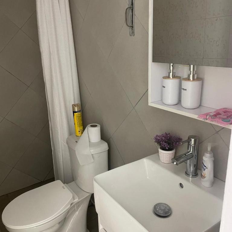 Luminoso Apartamento en el Centro de Paysandú - Apartamento de 1 dormitorio - 12