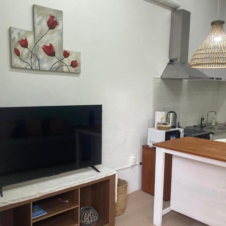 Luminoso Apartamento en el Centro de Paysandú - Apartamento de 1 dormitorio - 16
