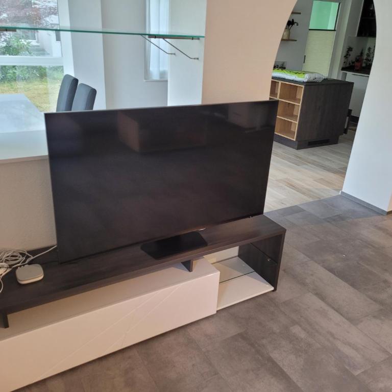 Garten-Wohnung in Adligenswil - Apartment mit 1 Schlafzimmer - 18