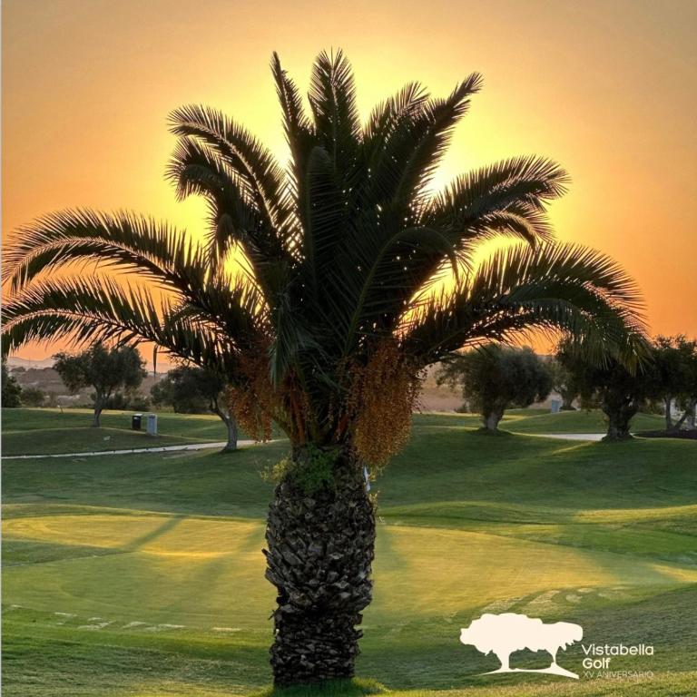 Vistabella Golf - La Casa del Sol de Kirsten - Costa Blanca - Three-Bedroom Villa - 45
