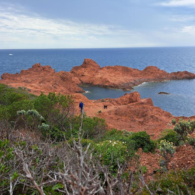 Cap Esterel Studio climatisé vue mer partielle - Appartement 1 Chambre - 37