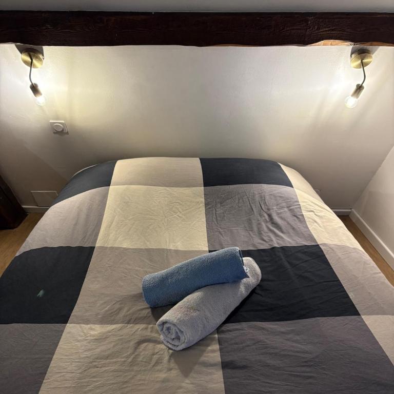 Charmant duplex Nancy - Secteur Gare - Apartamento de 1 dormitorio - 12