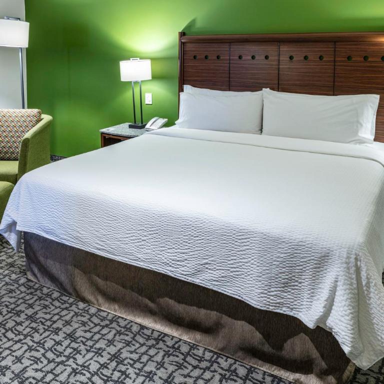 Holiday Inn Mexico City - Trade Center by IHG - Standard King Room - 2