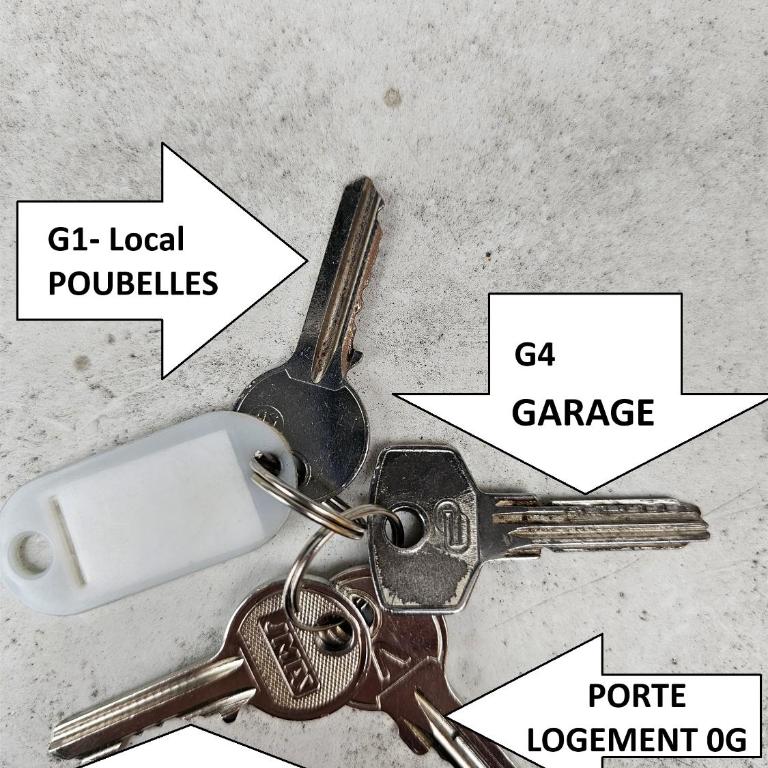 Résidence Romains - 0G - hébergements classés avec garage - Appartamento con 2 Camere da Letto - 7