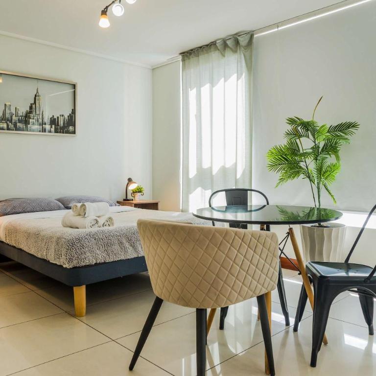 Delightful Studio Apartment in Las Condes - Estudio - 1