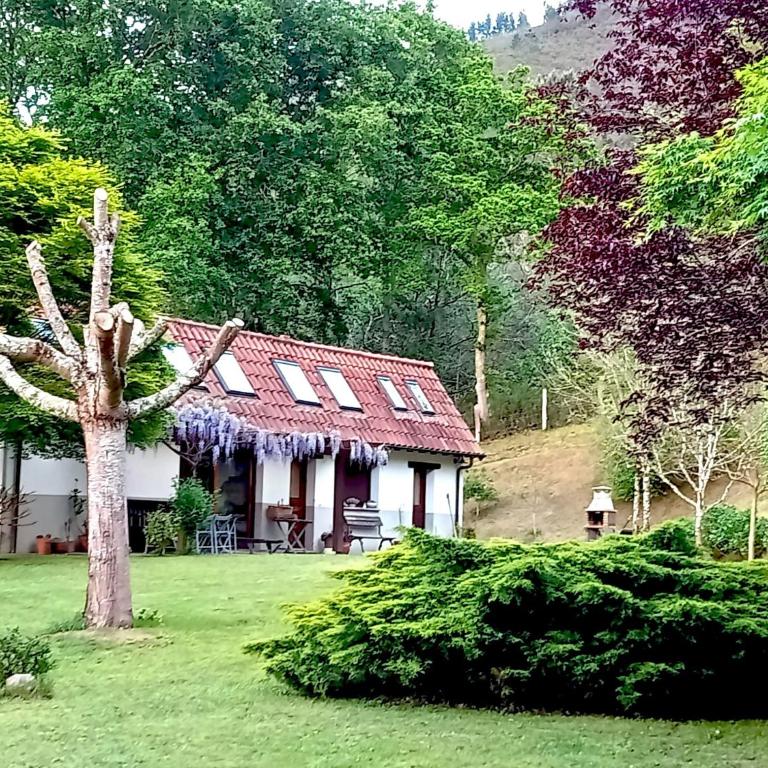 Casa en Cangas de Onis - Casa de 2 dormitorios - 29