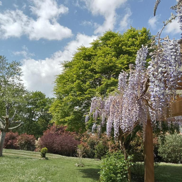 Casa en Cangas de Onis - Casa de 2 dormitorios - 22