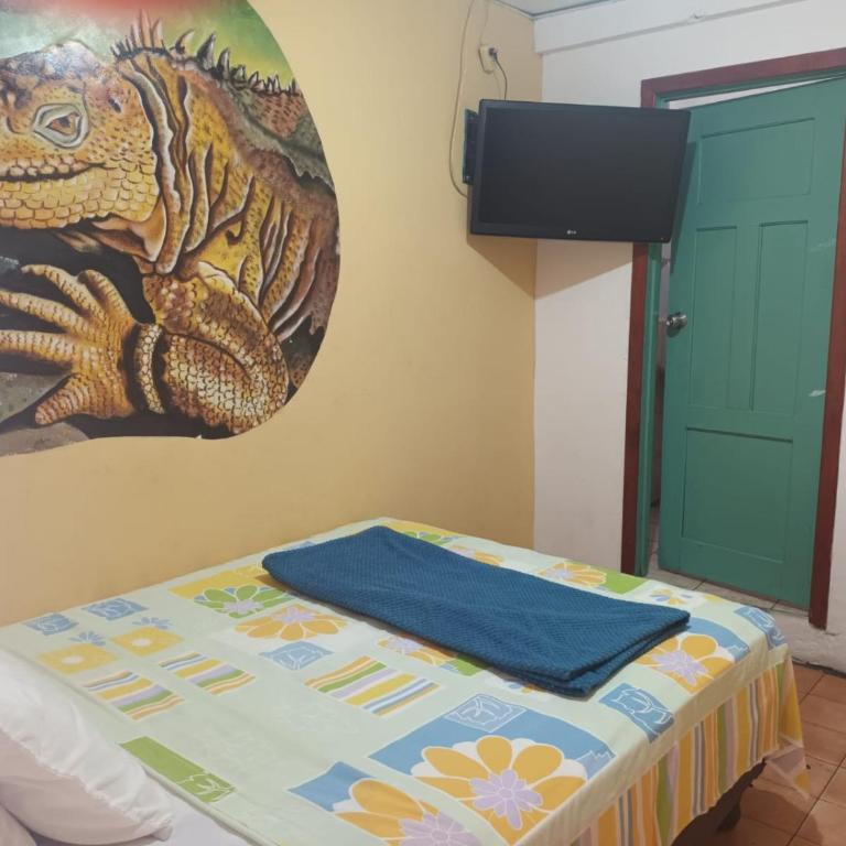 Hostal Puerto Ayora - One-Bedroom Apartment - 4
