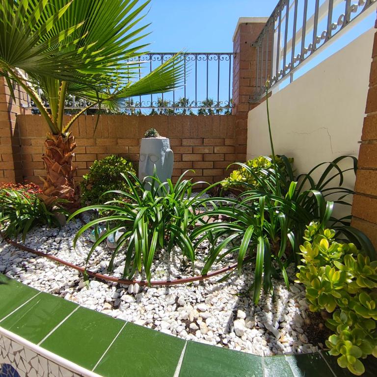 ACV- Acapulco IV-1ª Linea Planta 2 Sur - Apartamento de 2 dormitorios - 12