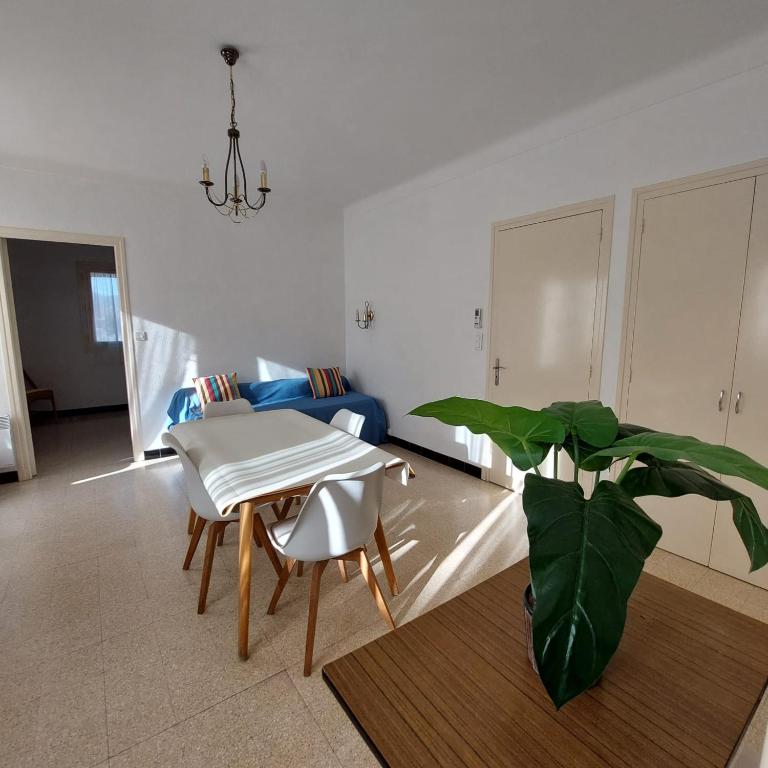 L'appartement de Marie - 100 m de la plage, climatisation, parking privé - Appartement 1 Chambre - 1