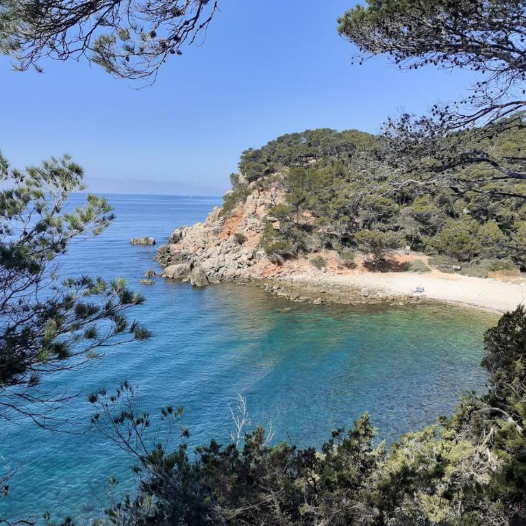 Studio lumineux parking privé 2mn plage et Sanary - Appartamento Monolocale con Letto Queen-Size - 24