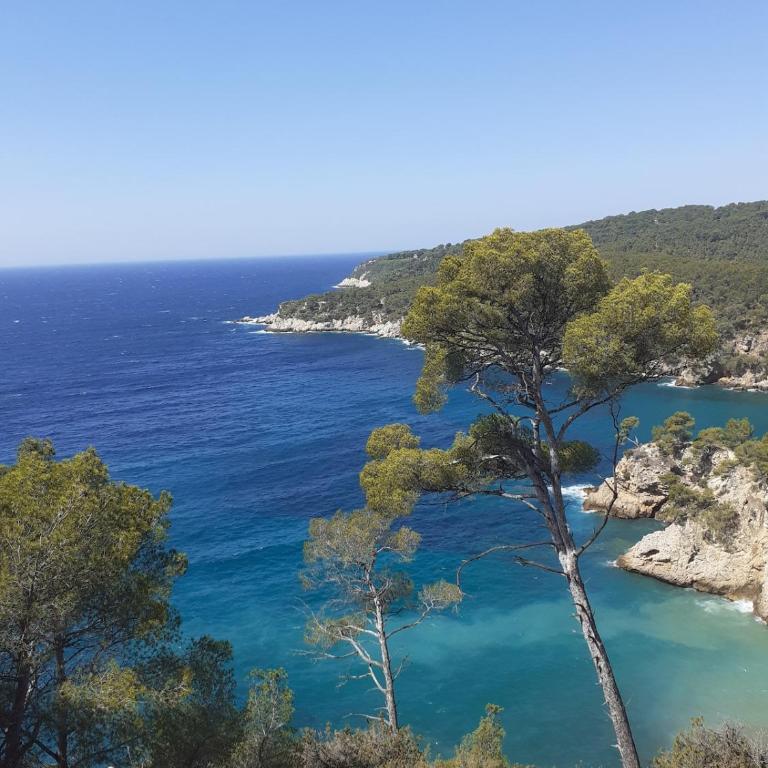 Studio lumineux parking privé 2mn plage et Sanary - Appartamento Monolocale con Letto Queen-Size - 26