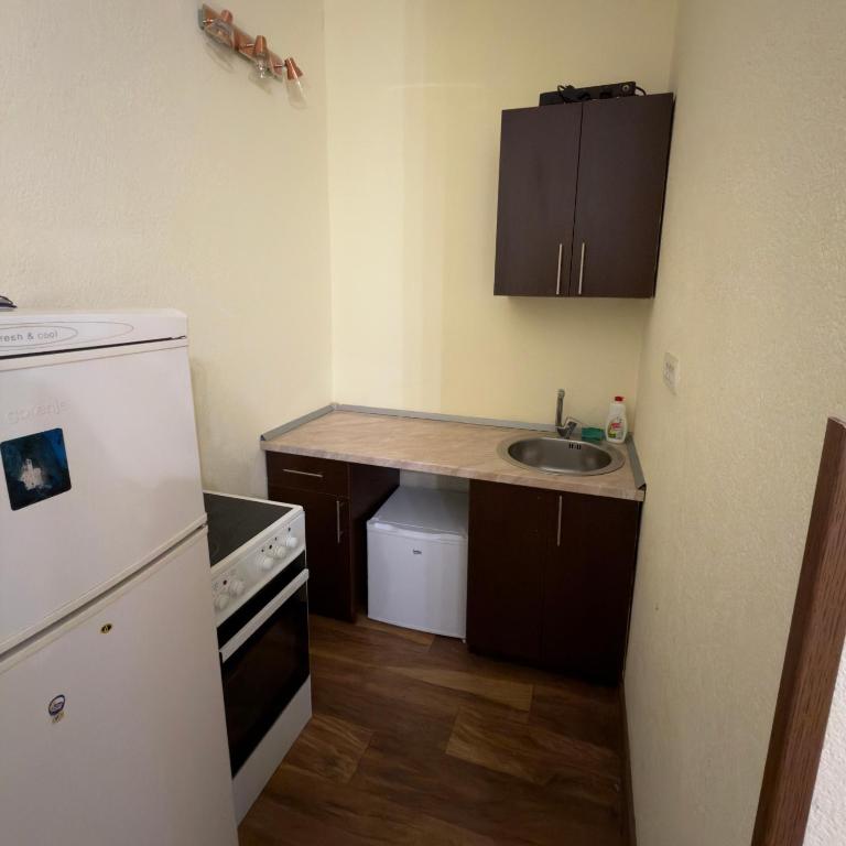 Apartmani Mila - Apartman sa 1 Spavaćom Sobom - 3