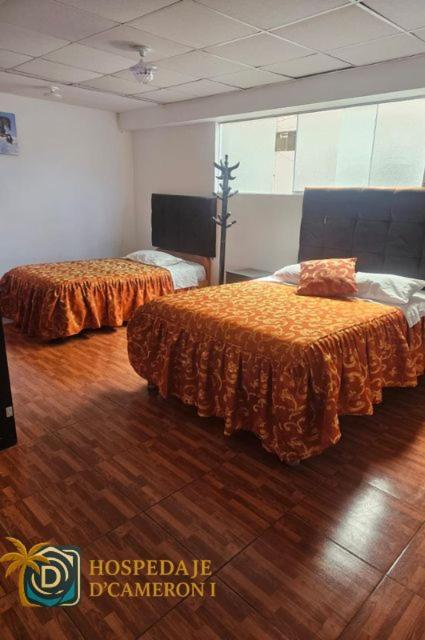 Hospedaje D'Cameron II - Twin Room - 5