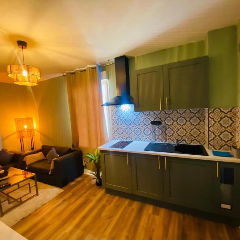 Home 201 - 5 min Circuit 24H du Mans - Appartement 1 Chambre - 9