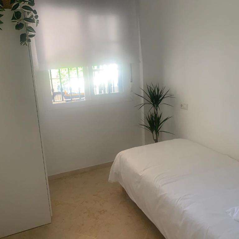 Playa Cala Mijas Butiplaya - Apartamento de 2 dormitorios - 17