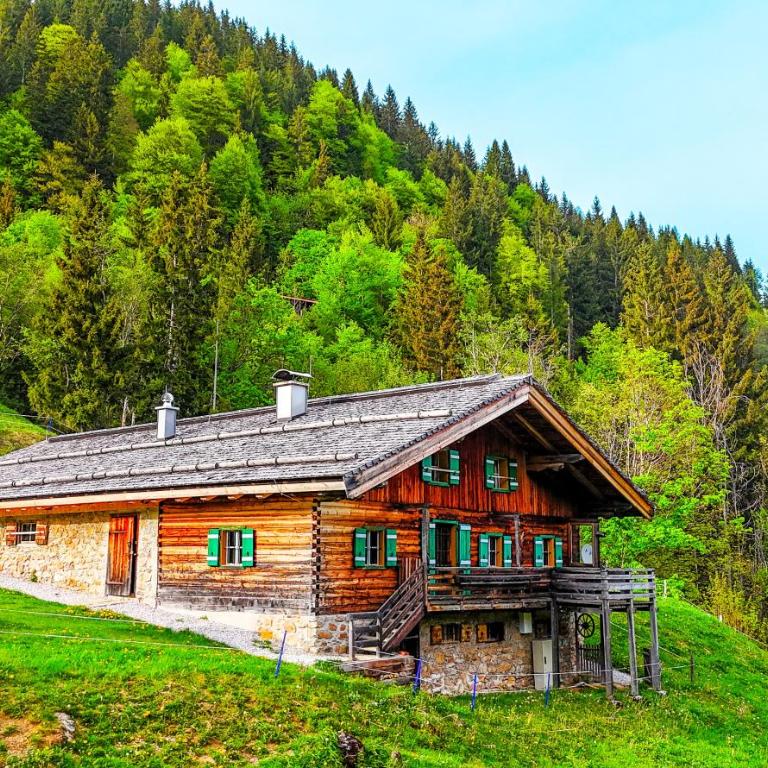 Premium Almhütte Leogang Family, Friends & Biker - Premier Apartment mit 4 Schlafzimmern - 1