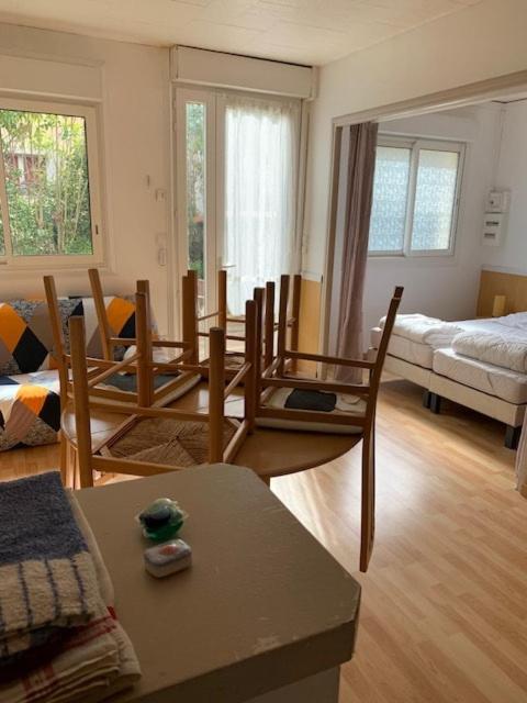 VILLA NOEMIE F1, terrasse privative - Appartement 1 Chambre - 11