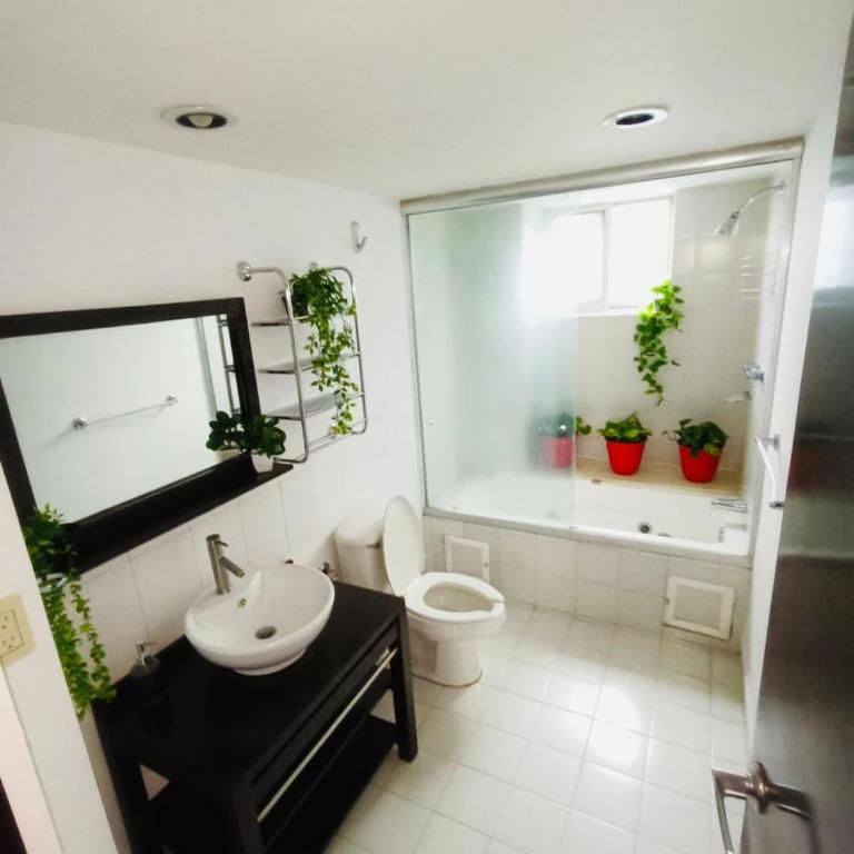 Departamento en Tehuantepec Roma Norte 237 - Apartamento de 3 dormitorios - 2