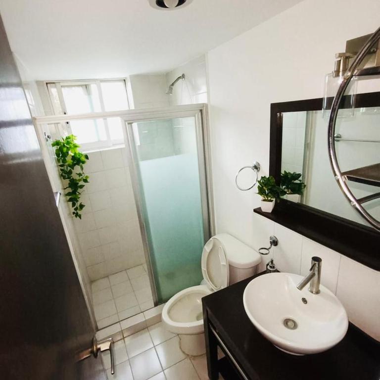 Departamento en Tehuantepec Roma Norte 237 - Apartamento de 3 dormitorios - 6