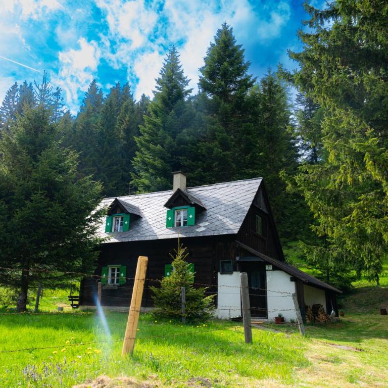 Almhütte am Steirischen Seeberg - Apartment mit 2 Schlafzimmern - 2
