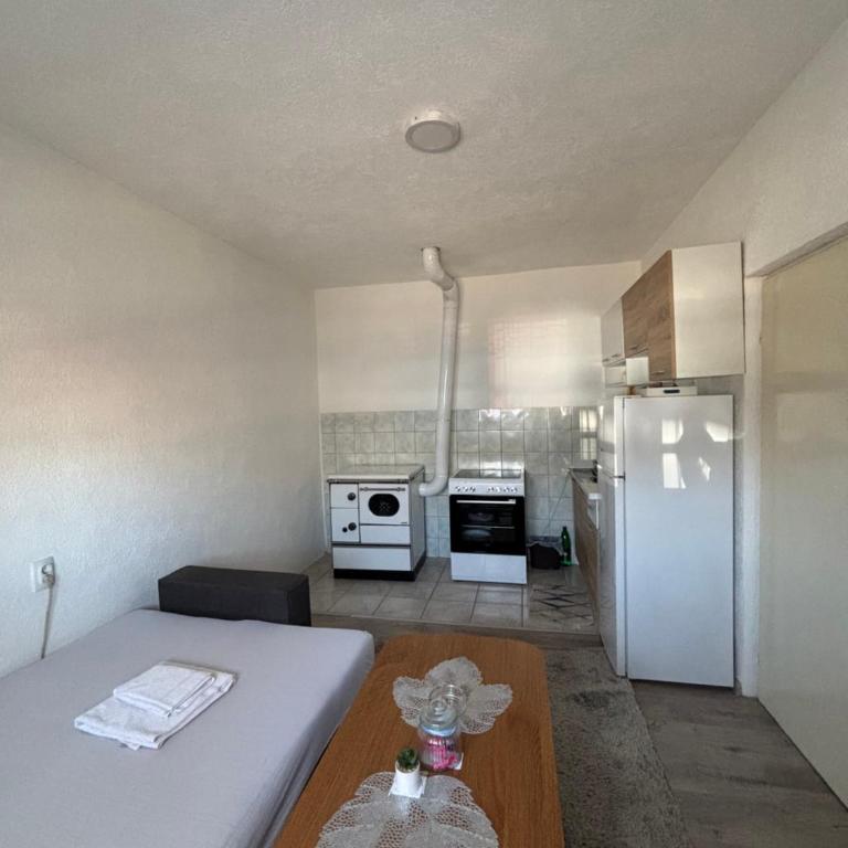 Apartman Tamara - Apartman sa 1 Spavaćom Sobom - 10